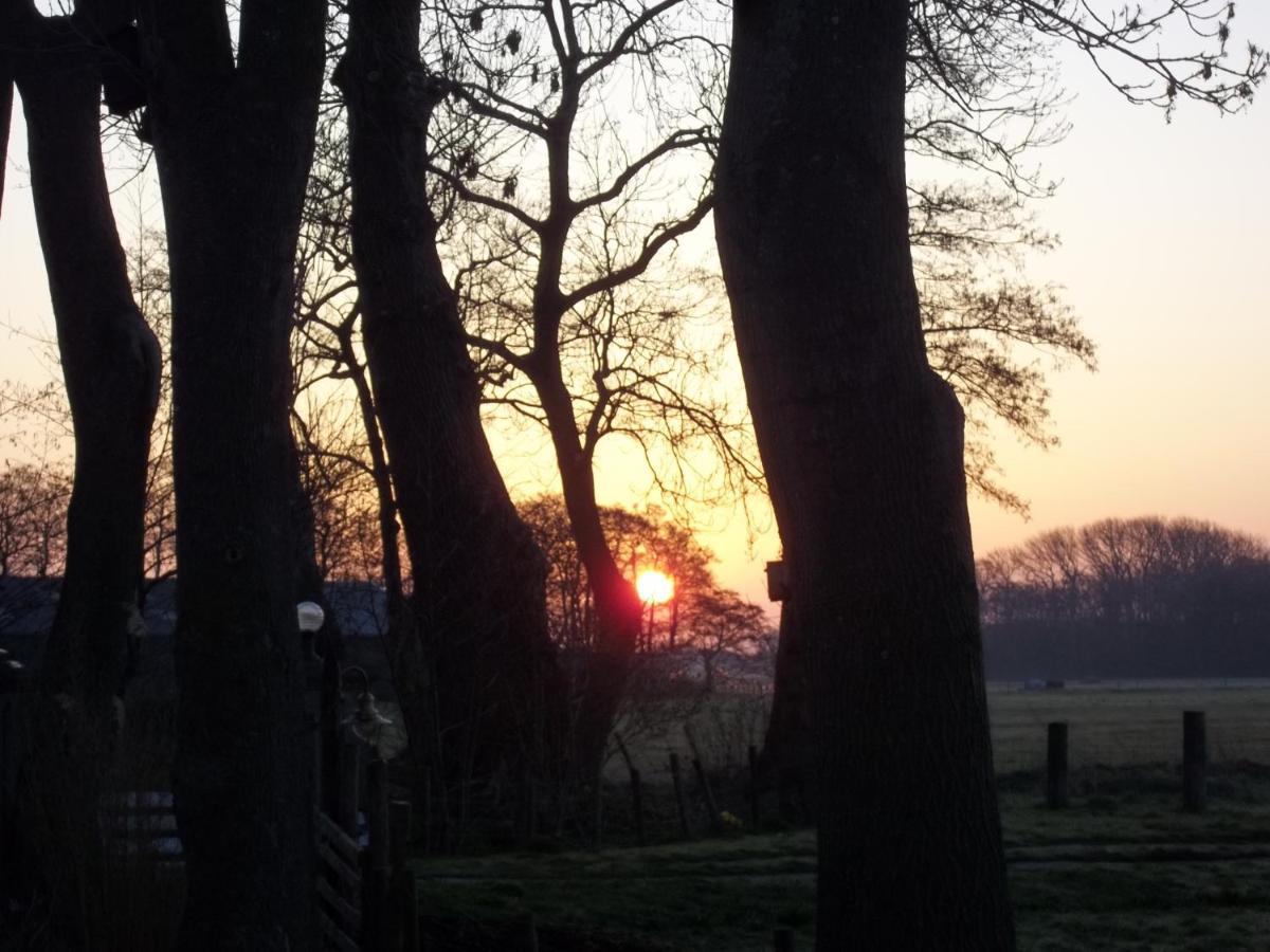 Wijckel 'T Griene Hemeltsje Bed & Breakfast エクステリア 写真